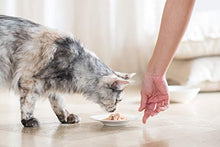 Carica l'immagine nel visualizzatore di Gallery, Schesir, Cibo Umido per Gatti Adulti al Gusto Tonnetto e Quinoa, in Morbida...