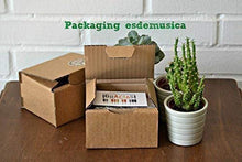 Carica l&#39;immagine nel visualizzatore di Gallery, Piccolo carillón manovella Nuovo Cinema Paradiso. Con la melodia della... - Ilgrandebazar