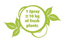 Carica l&#39;immagine nel visualizzatore di Gallery, Puressentiel Purificante Ambientale Spray - 200 ml