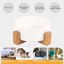 Carica l'immagine nel visualizzatore di Gallery, Petxt - Ciotola in ceramica rialzata per cuccioli di gatto, altezza bianco