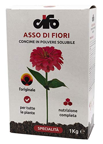 Cifo Asso di Fiori Concime in Polvere solubile per tutte le piante da...