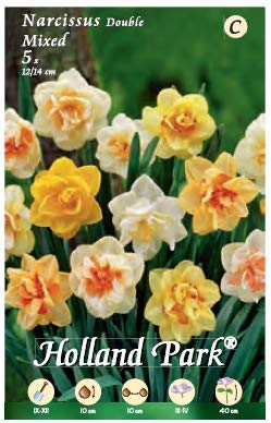 Holland Park bulbi da fiore di molte varietà e colori in sacchetto blister... - Ilgrandebazar