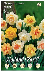 Holland Park bulbi da fiore di molte varietà e colori in sacchetto blister... - Ilgrandebazar