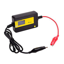 Carica l&#39;immagine nel visualizzatore di Gallery, cleanpower Auto Pulsing 400Ah LED Display Piombo Acido Batteria Desolfatore... - Ilgrandebazar
