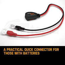 Carica l&#39;immagine nel visualizzatore di Gallery, CTEK 56-259 M6, connettore diretto occhiello, 6,3 mm - Ilgrandebazar