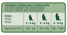 Carica l'immagine nel visualizzatore di Gallery, 7