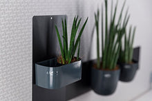 Carica l&#39;immagine nel visualizzatore di Gallery, KalaMitica - vaschetta magnetica 12 cm - Grigio 12 cm, (Piombo) - Ilgrandebazar