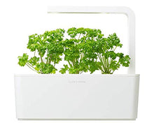 Carica l&#39;immagine nel visualizzatore di Gallery, Click &amp; Grow Starter Pack Erbe Aromatiche - Set di 3 confezioni capsule... - Ilgrandebazar