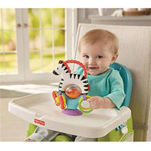 Carica l&#39;immagine nel visualizzatore di Gallery, Fisher Price FGJ11 - Zebra Attività - Giocattolo Neonato
