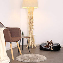 Carica l&#39;immagine nel visualizzatore di Gallery, dibea DB00521, Letto per Cani, Divano 60 x 48 x 18 cm, M, Grigio/Nero - Ilgrandebazar