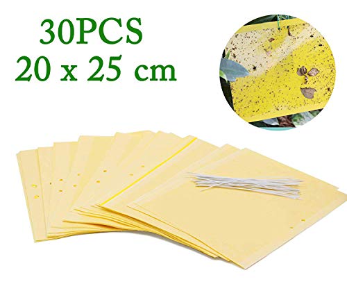 Plai 30 Fogli MoscheTrappola(giallo 20 x 25 cm), Trappola Bi-adesiva per 30