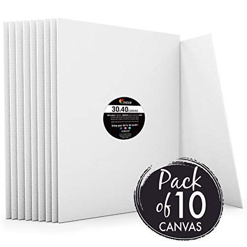 Zenacolor - Set di 10 Tele Cartonate per 10 (30 x 40 cm) - Ilgrandebazar