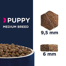 Carica l'immagine nel visualizzatore di Gallery, Eukanuba Cibo Secco per Cani, Cuccioli in Crescita, Cani di Taglia 3 kg