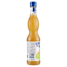 Carica l&#39;immagine nel visualizzatore di Gallery, Fabbri Sciroppo Lime 560ml