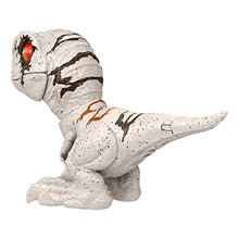 Carica l&#39;immagine nel visualizzatore di Gallery, Jurassic World - Dominion Creature Ruggenti, Action Figure Dinosauro Atrociraptor, con movimenti e Suoni interattivi Che Si attivano al Tocco, Giocattolo e Regalo per Bambini 4+ Anni, GWY57