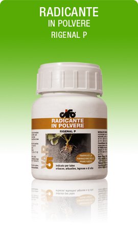 RIGENAL P RADICANTE IN POLVERE PER QUALSIASI TIPO DI TALEA conf. da 100... - Ilgrandebazar