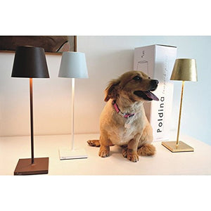 Ai Lati POLDINA Lampada da Tavolo LED 2W 3000K Ricaricabile IP54 Esterno... - Ilgrandebazar