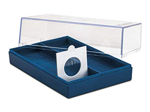 Leuchtturm 315511 scatola di plastica per 100 cartoncini monete, Blu - Ilgrandebazar