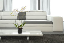 Carica l&#39;immagine nel visualizzatore di Gallery, Hobby Flower Adel - piatto tondo per orchidee e irrigazione, 20 x Trasparente