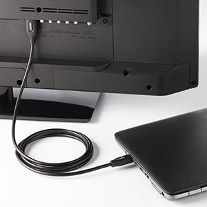 AmazonBasics - Cavo DisplayPort/HDMI, 0.9 metri 0,9 m