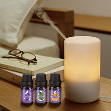 Carica l&#39;immagine nel visualizzatore di Gallery, Oli Essenziali per Diffusori,Aromaterapia Puri 100%,Naturali... - Ilgrandebazar