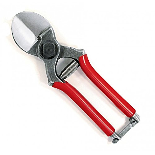 Ausonia - 31108 Forbice potatura per frutteti a doppio taglio cm 20 - Ilgrandebazar