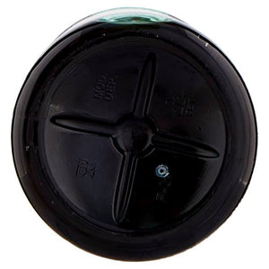Fabbri Sciroppo Menta 1l