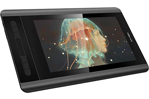 XP-PEN Artist 12 Tavoletta Grafica con Schermo HD 11,6 12 Standard