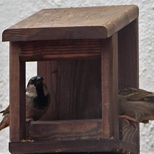 Mangiatoie per uccelli wengue - Ilgrandebazar