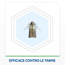 Carica l'immagine nel visualizzatore di Gallery, Baygon Antitarme Alimentari, Protezione per la Cucina, Efficacie fino a 8 Settimane, Confezione da 3 Trappole
