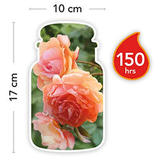 Carica l&#39;immagine nel visualizzatore di Gallery, Yankee Candle, Candela grande vaso, Rosa vaso - Ilgrandebazar