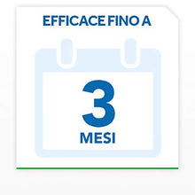 Carica l&#39;immagine nel visualizzatore di Gallery, Raid Esca Scarafaggi - 6 Pezzi