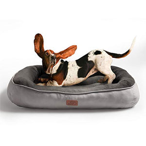 Bedsure Cuccia per Cane da Interno Taglia Grande XXL XL (110x76x18cm), Grigio - Ilgrandebazar