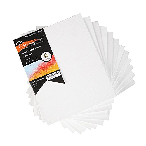CONDA Pannelli in Tela Artisti per Pittura 20 X 25 CM(8