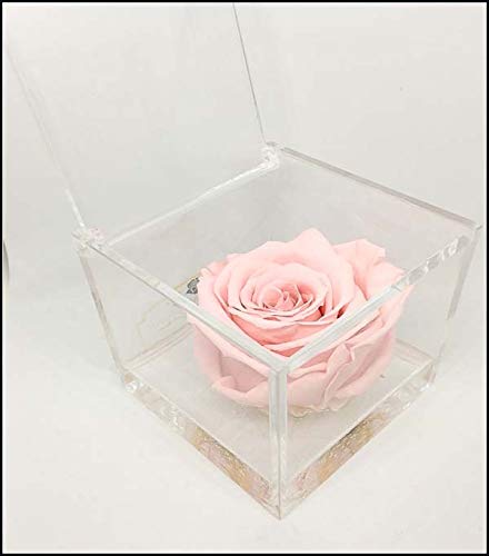 AA 1065 Cubo Rosa Stabilizzata rosa 6cm 6x6x6 profumata, Il con una... - Ilgrandebazar