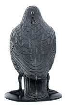 Carica l'immagine nel visualizzatore di Gallery, Brandsseller Set 3 Statuetta di Corvo 36 cm Neri 3 Pezzi Corvo Finto Spaventapasseri