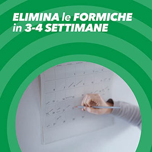 Baygon Esca Formiche Insetticida, Pronta all'Uso, Protezione Cucina 30 g - Confezione da 4 Esche per Uso in Spazi Interni ed Esterni