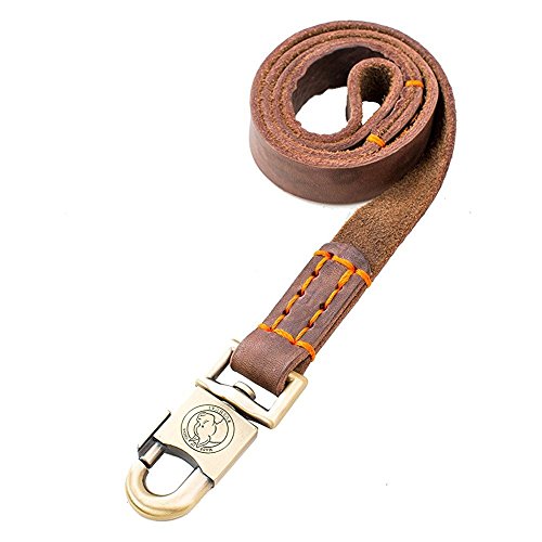 Rantow Super Strong in Pelle guinzaglio per Cani di Media o 5 FT - Ilgrandebazar