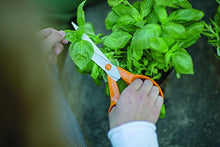 Carica l&#39;immagine nel visualizzatore di Gallery, Fiskars Forbici multiuso, Lunghezza: 21 cm, Lama in acciaio inox/Impugnature... - Ilgrandebazar