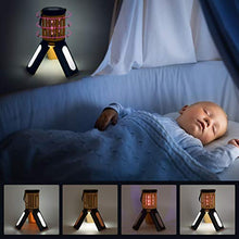 Carica l&#39;immagine nel visualizzatore di Gallery, seenlast Lampada Antizanzara Elettrica, 2-in-1 Zanzariera All&#39;aperto Arancia