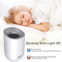Carica l&#39;immagine nel visualizzatore di Gallery, Deumidificatore Portatile COONOE Deumidificatori Elettrico Mini 600ml... - Ilgrandebazar