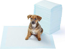 Carica l'immagine nel visualizzatore di Gallery, AmazonBasics - Tappetini igienici assorbenti per animali domestici, misura standard, 100 pz
