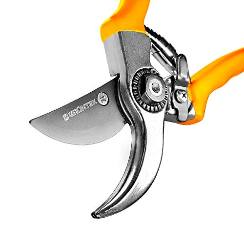 GRÜNTEK Forbici SPECHT Cesoie da Potatura. Lama 55 mm in acciaio, Taglio...
