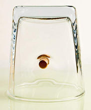 Carica l&#39;immagine nel visualizzatore di Gallery, KolbergGlas Regalo per Uomini Bicchiere da Whisky con calibro proiettile... - Ilgrandebazar