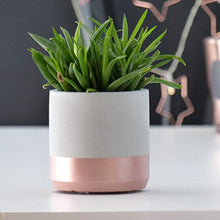 Carica l&#39;immagine nel visualizzatore di Gallery, Atelier Ideco - Rotonda Grigia Coperta E Rosegold Vaso Di Fiori Cemento,... - Ilgrandebazar
