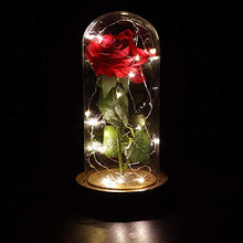 Carica l'immagine nel visualizzatore di Gallery, Anaoo Rose La Bella e la Bestia in Cupola Vetro Regalo per Senza Telecomando - Ilgrandebazar