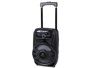 Trevi XFEST XF 450 Altoparlante Amplificato Portatile con Trolley, Mp3, Nero - Ilgrandebazar