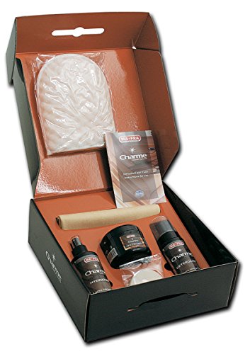 Mafra, Charme, Kit per la Pulizia di Sedili e Cruscotti dell'Auto, Deterge,...