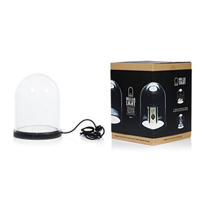 Suck Uk Light Bell Campana di Vetro con Base Luminosa 21.5x27x21.5 cm - Ilgrandebazar