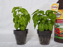 Carica l&#39;immagine nel visualizzatore di Gallery, Solabiol Concime Liquido Biologico Universale, 1 litro